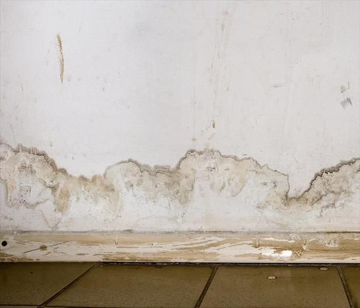 Water damaged baseboards and floors